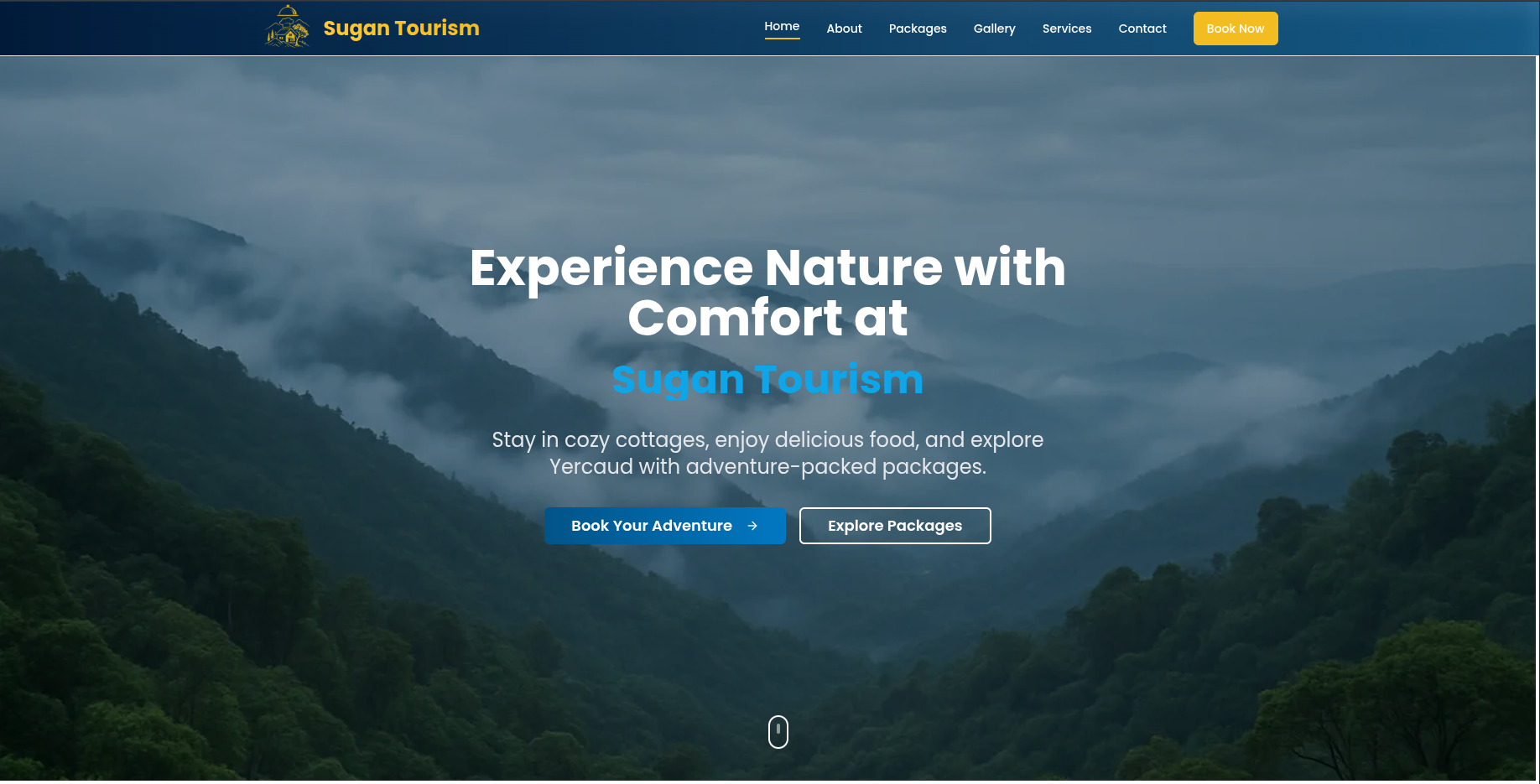 Varioshine Website