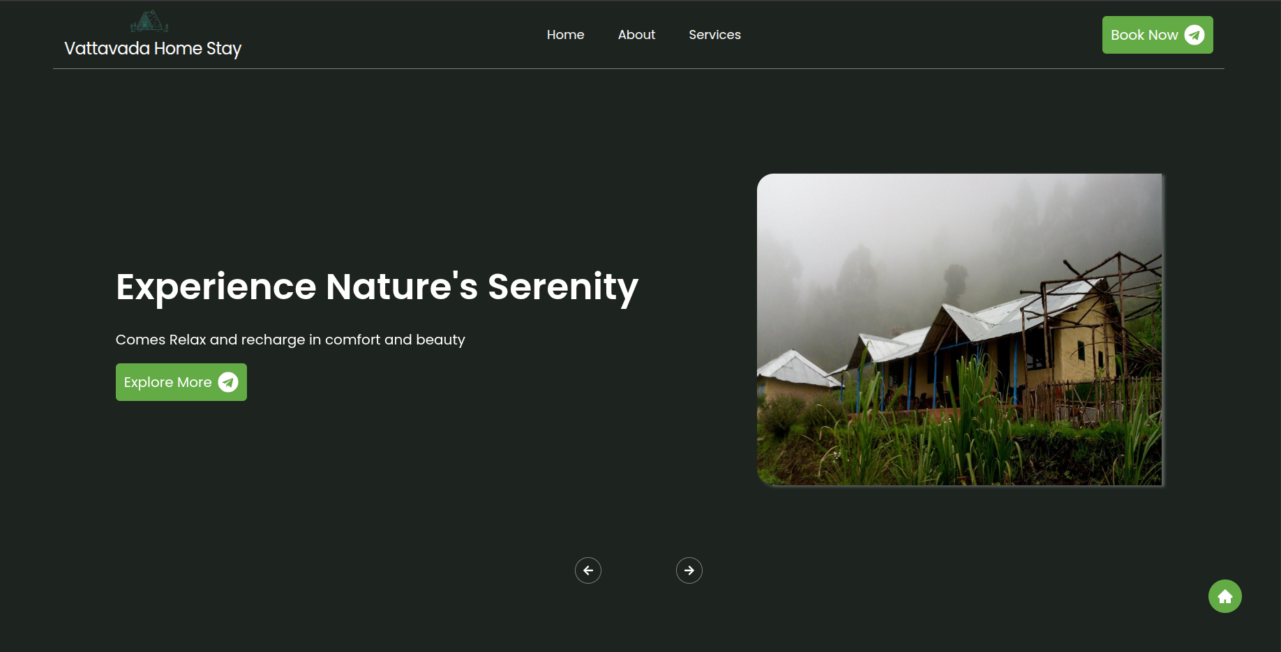 Varioshine Website